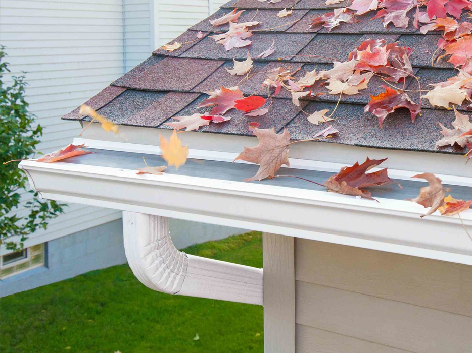 Guards and downspouts